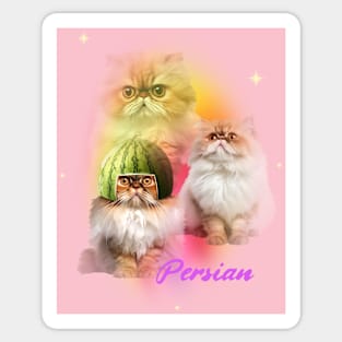 Cute & Funny Persian Cat Sticker